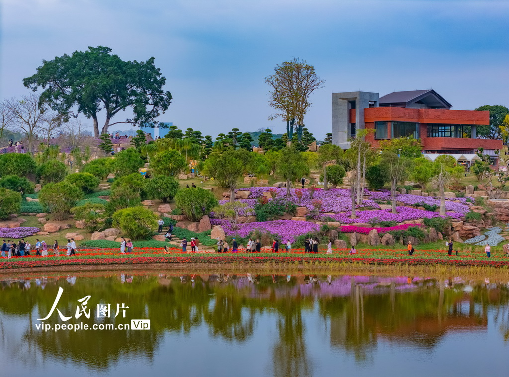 广西南宁：踏青赏花 乐享假日【2】