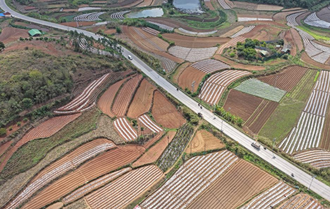 人勤春来早 农忙正当时