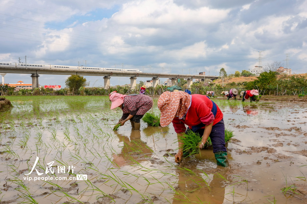 广西梧州：春耕正当时