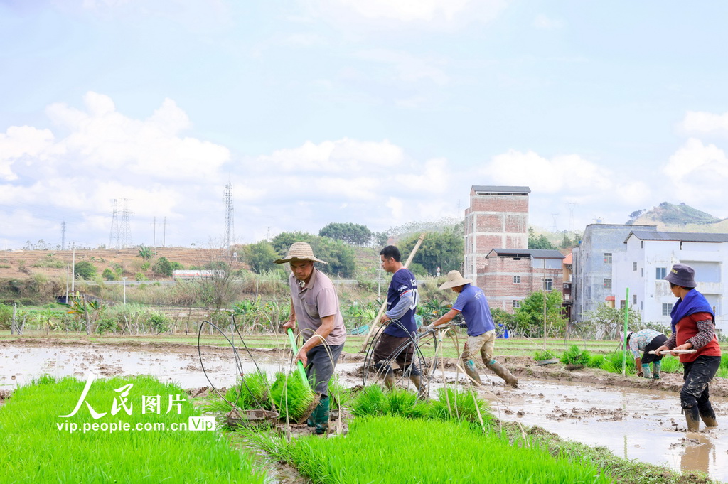 广西梧州：春耕正当时【3】