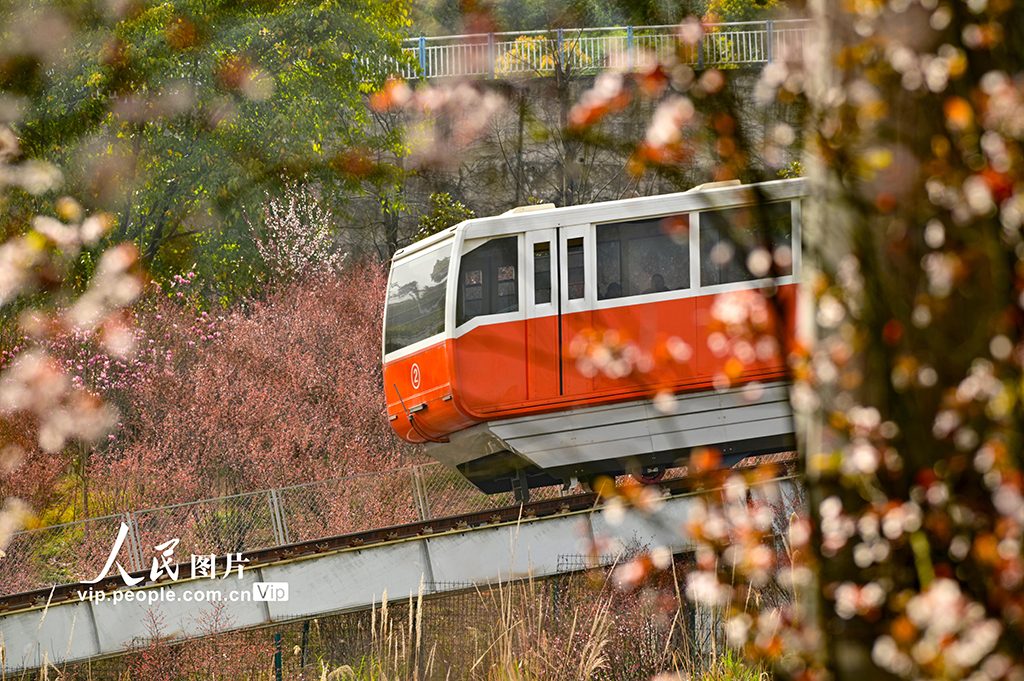 重庆：开往春天的列车【3】