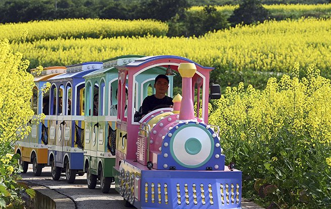 四川蓬安：油菜花开引客来