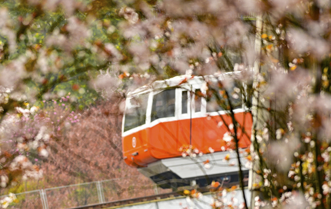 重庆：开往春天的列车