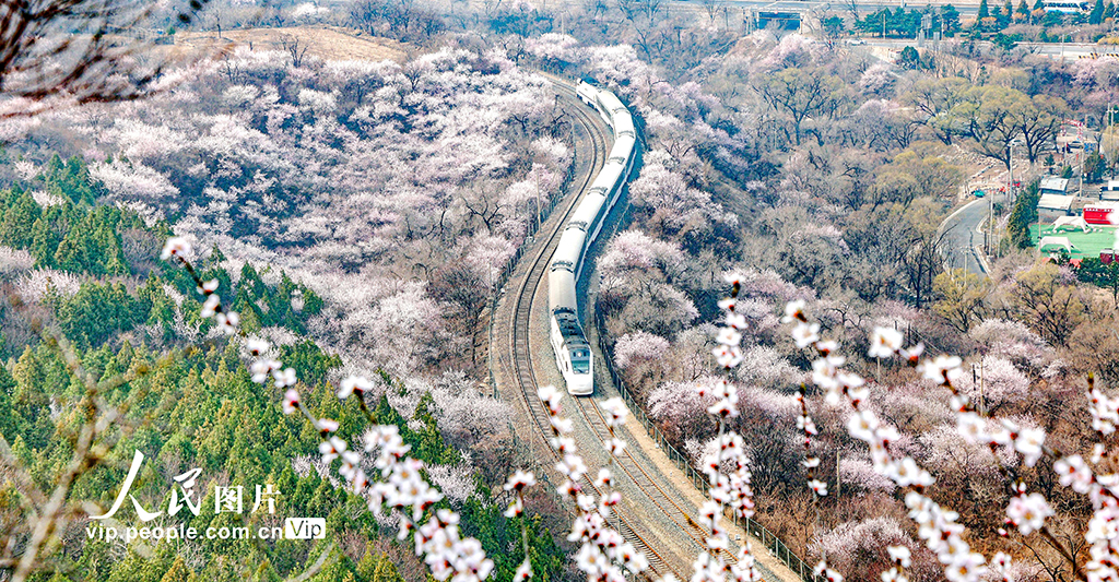 北京：开往春天的列车