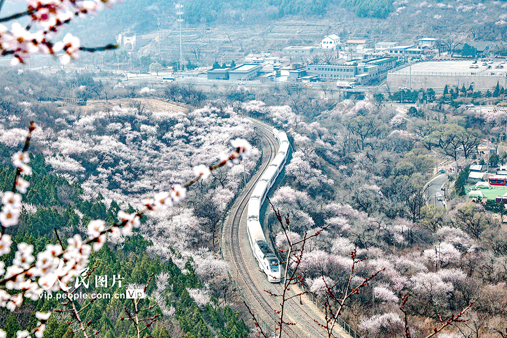 北京：开往春天的列车【3】