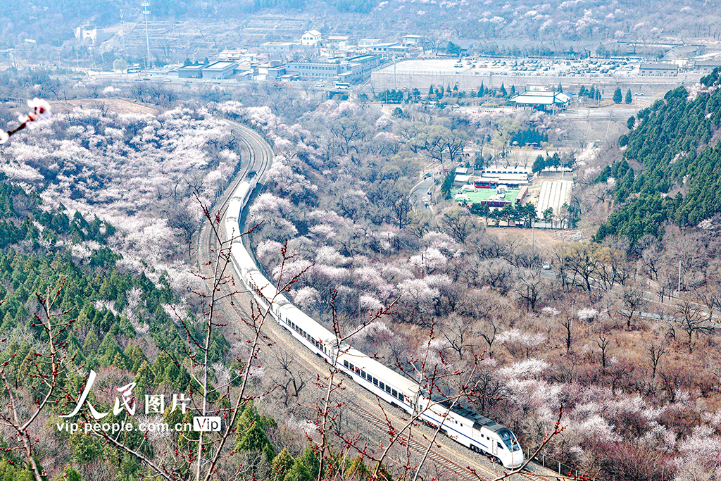 北京：开往春天的列车【4】