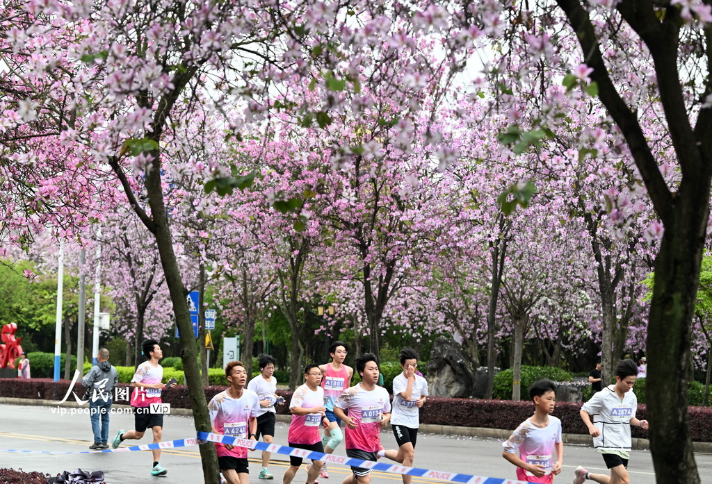 广西柳州：花海赛道上演全民跑【2】
