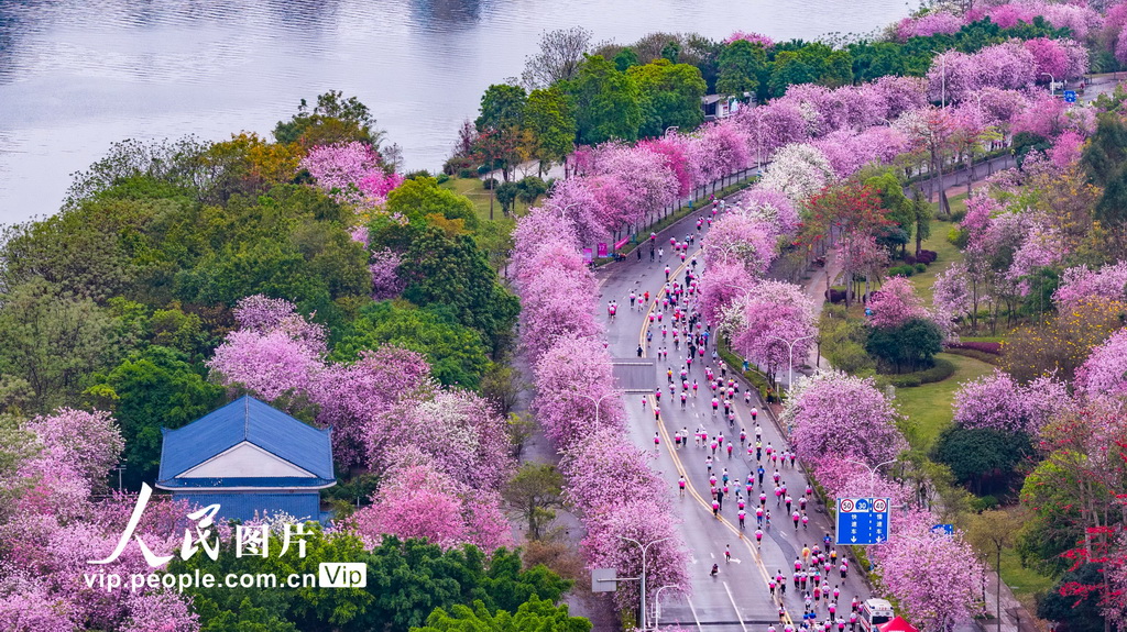广西柳州：花海赛道上演全民跑
