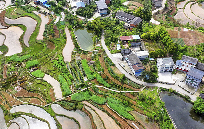 重庆：梯田美如画