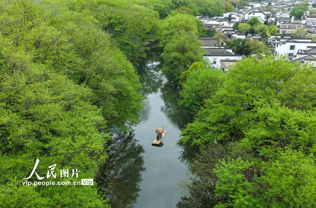 安徽黄山：春风又绿西溪南【2】