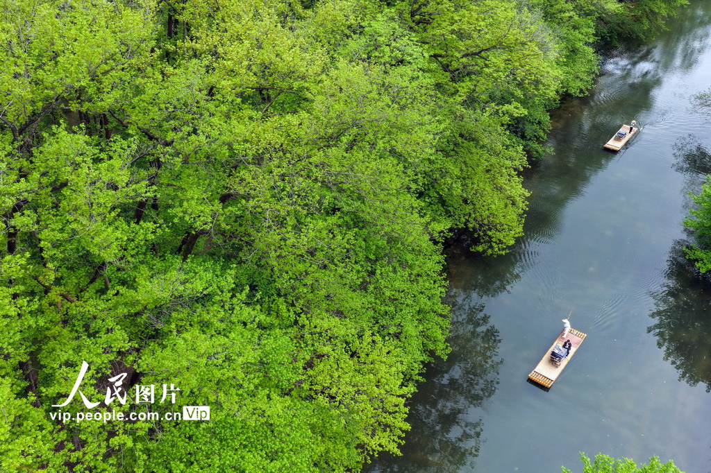 安徽黄山：春风又绿西溪南【3】