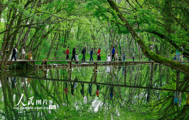 安徽黄山：春风又绿西溪南