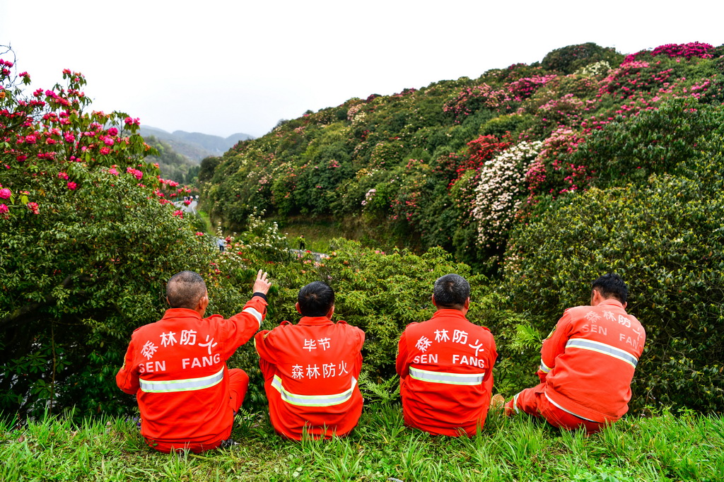 森林防火队员们在贵州百里杜鹃管理区金坡景区巡逻途中休息（4月2日摄）。