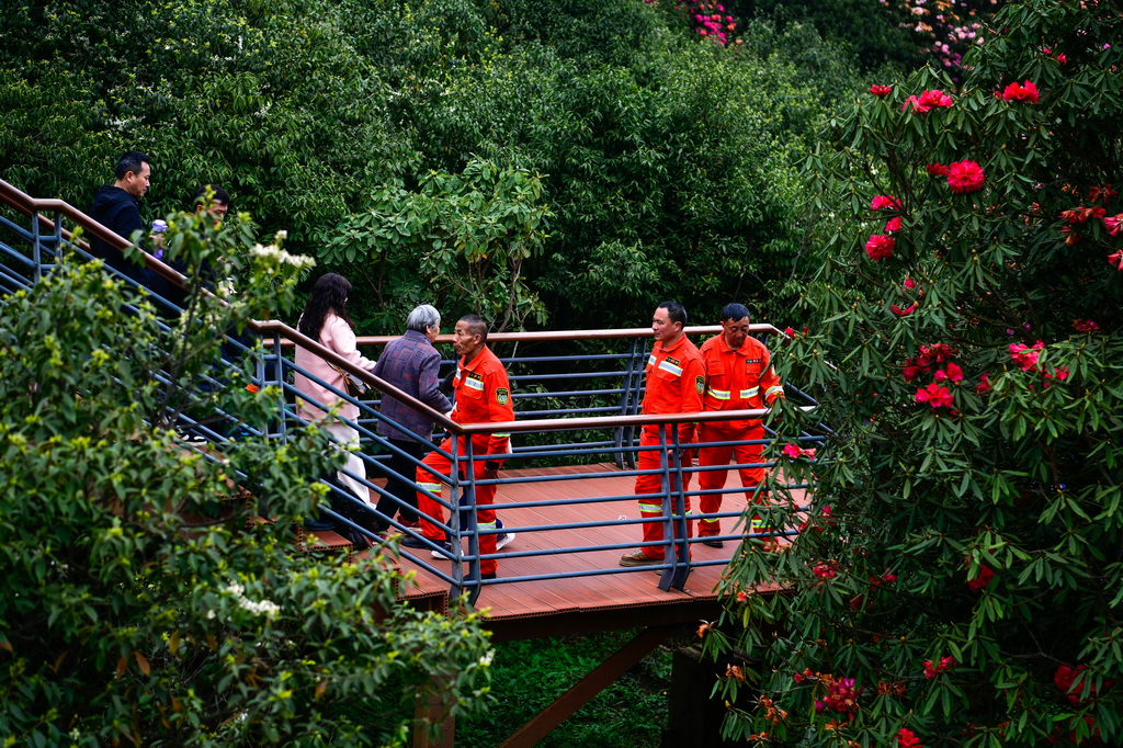 森林防火队员们在贵州百里杜鹃管理区金坡景区巡逻，排查森林火灾隐患（4月2日摄）。