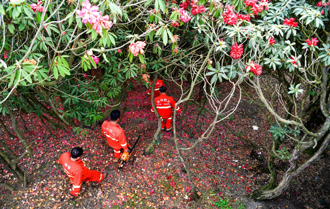 乌蒙深处的“护花使者”
