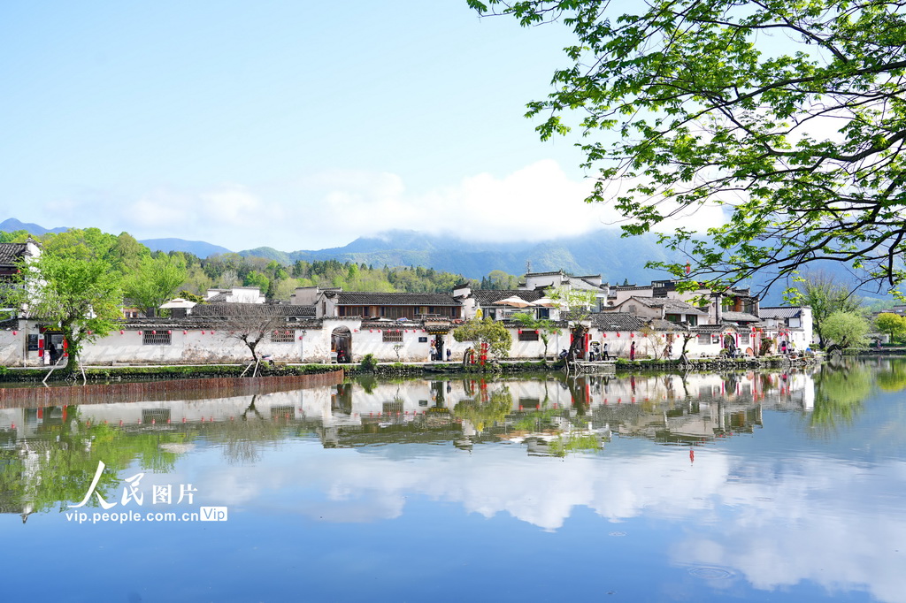安徽黟县：宏村春意盎然【2】
