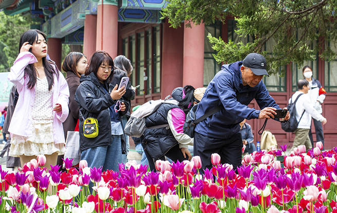 北京：中山公园郁金香盛开