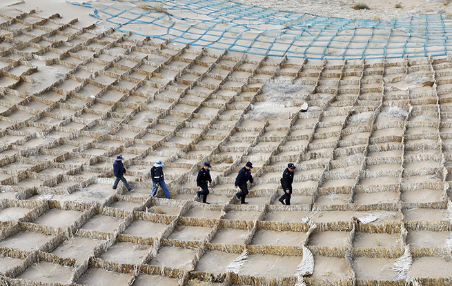 甘肃临泽：压沙织网正当时