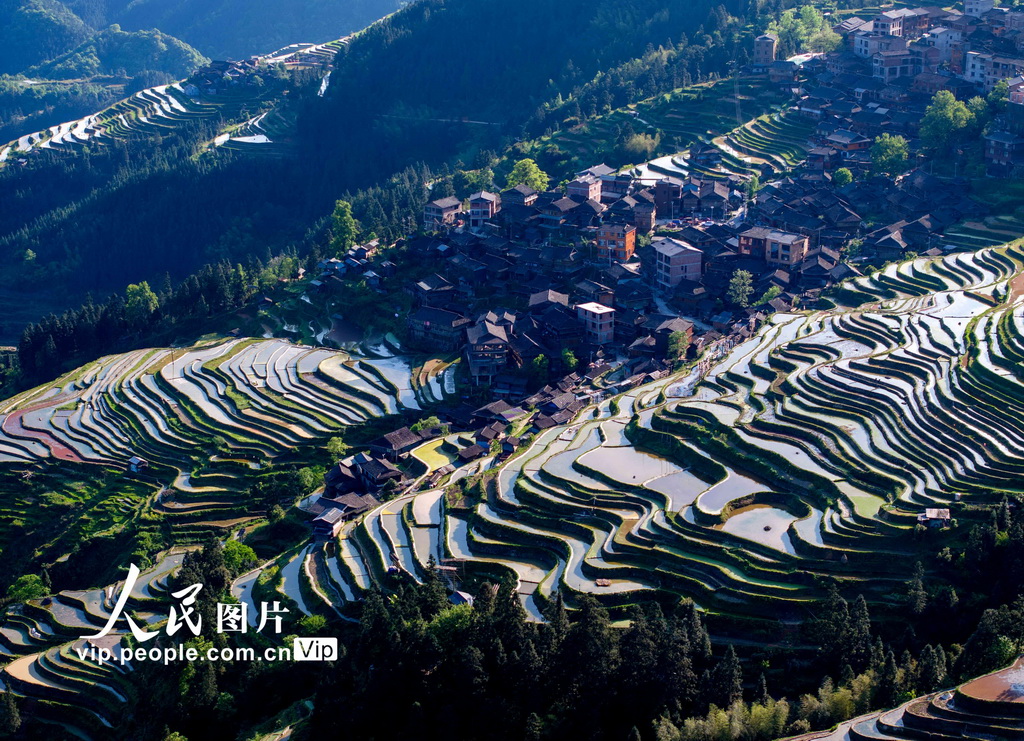 贵州从江：梯田如镜【3】