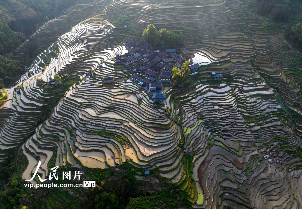 贵州从江：梯田如镜【2】