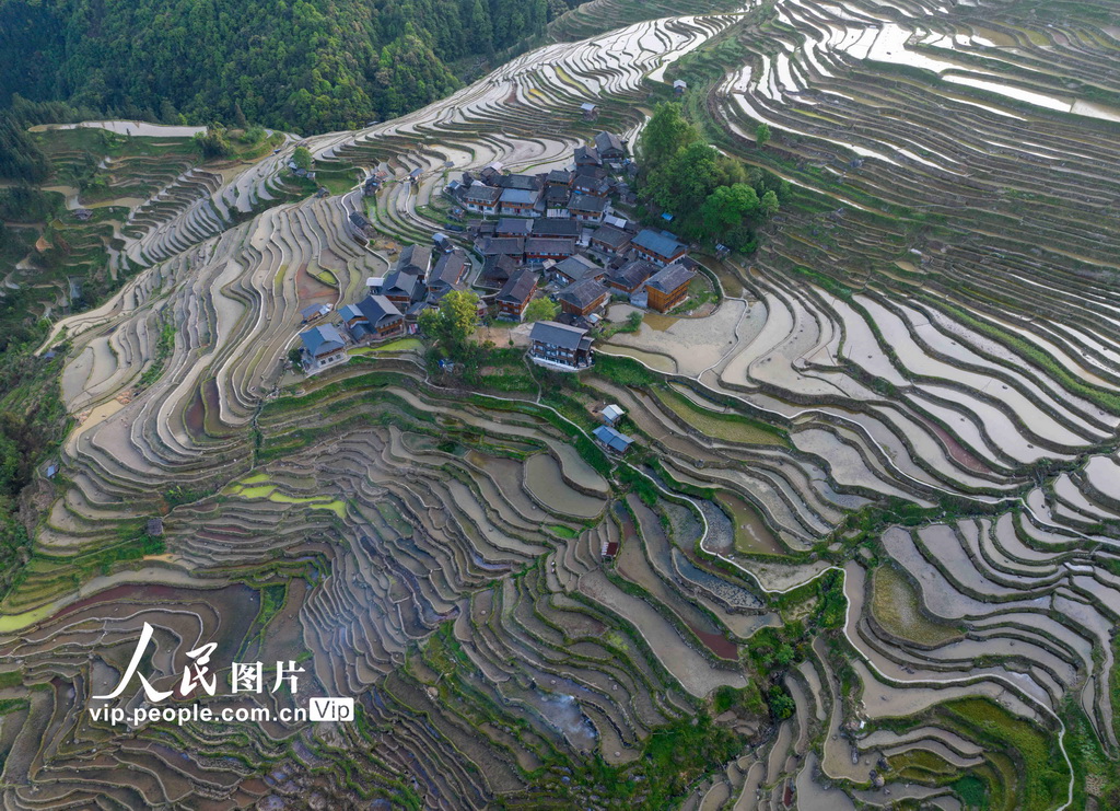 贵州从江：梯田如镜【4】