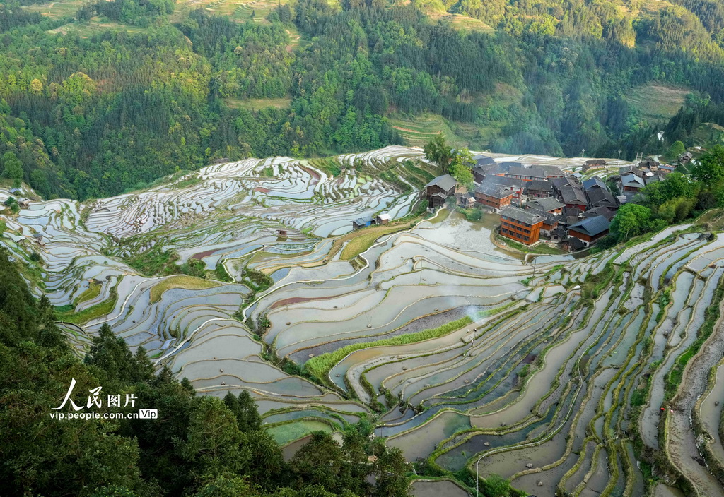 贵州从江：梯田如镜