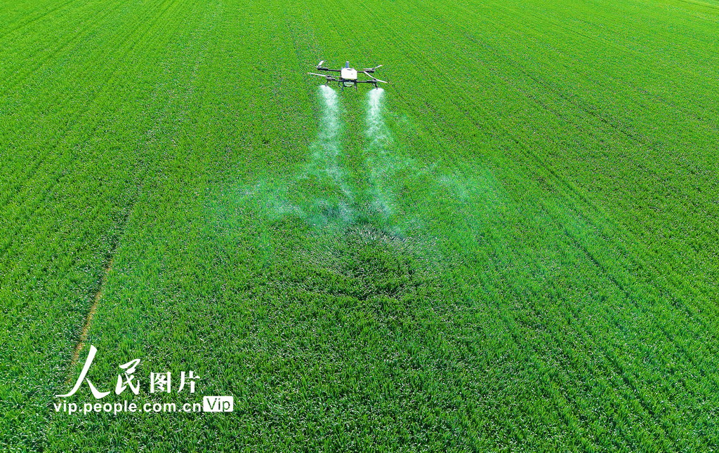 河南南阳：谷雨春耕图【3】