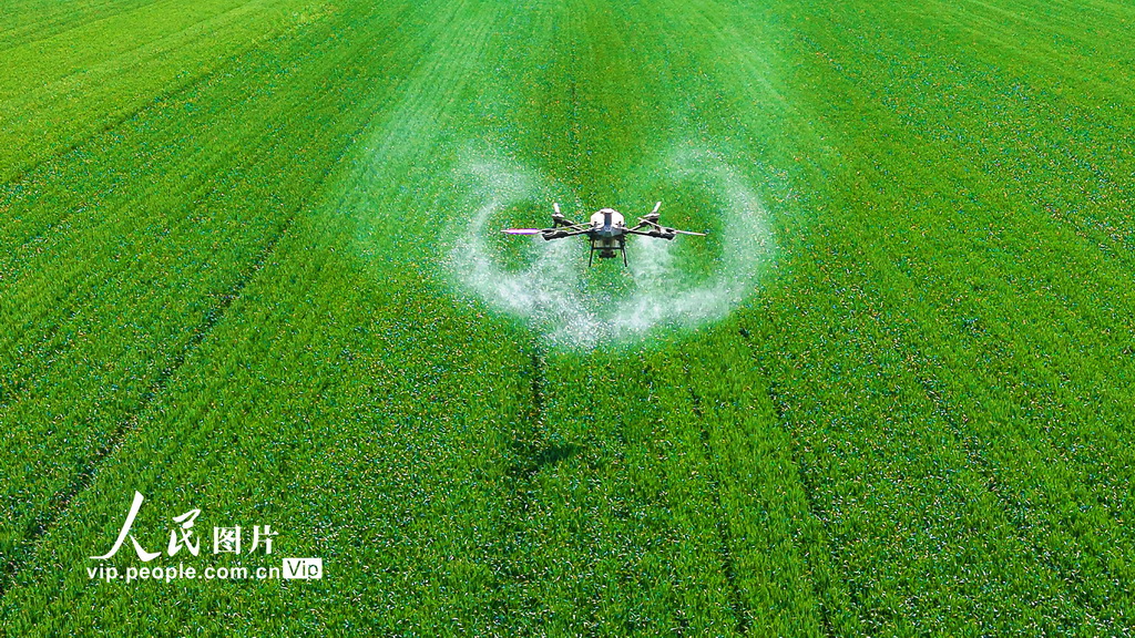 河南南阳：谷雨春耕图【4】