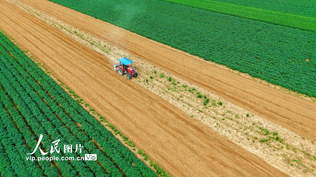 河南南阳：谷雨春耕图