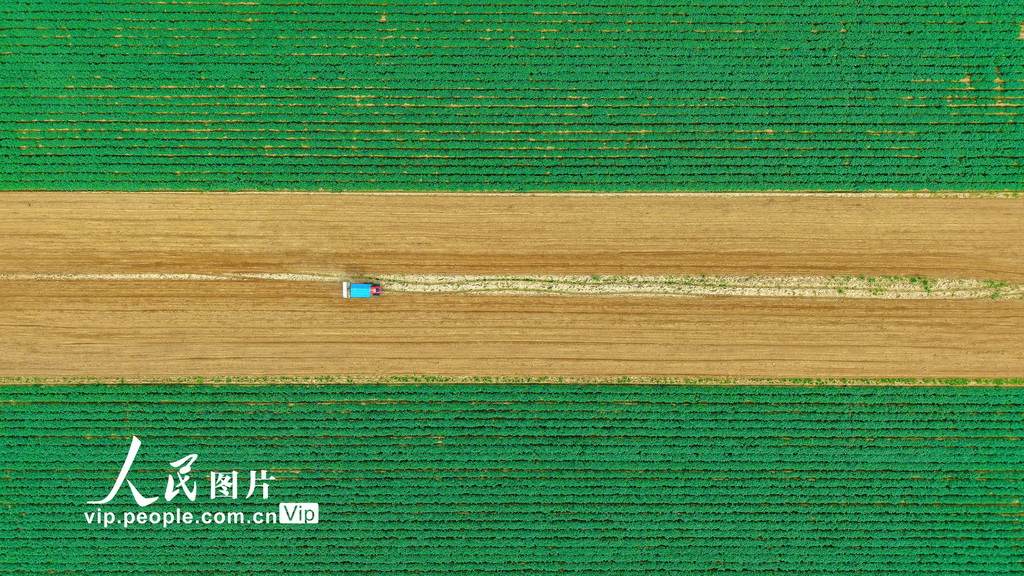 河南南阳：谷雨春耕图【5】