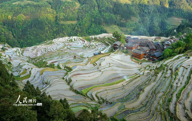 贵州从江：梯田如镜
