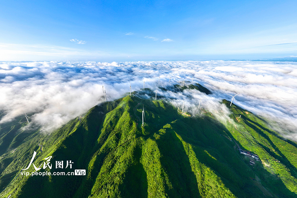 湖南常宁：云海景观美如画【4】