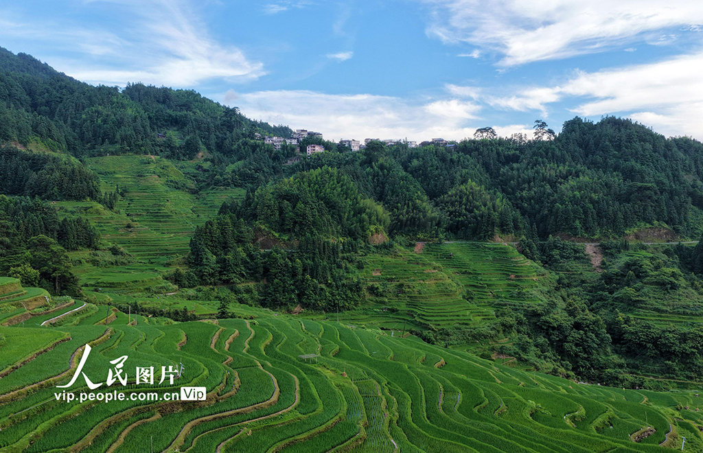 广西融水：生态苗寨入画来【2】