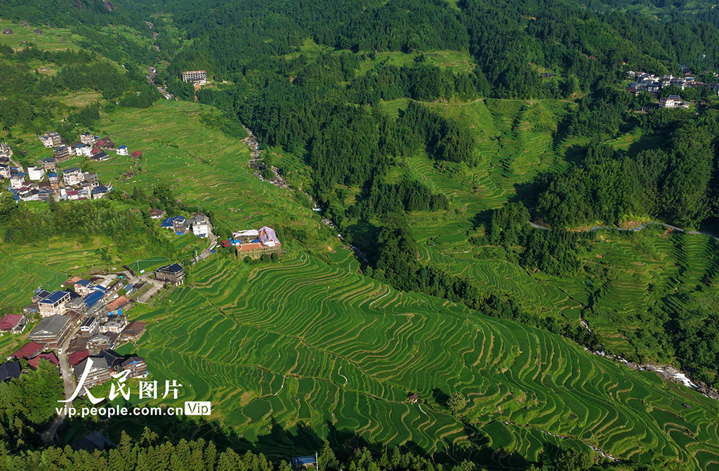 广西融水：生态苗寨入画来【7】