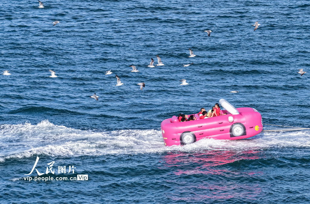 山东荣成：避暑纳凉 乐享夏日【3】