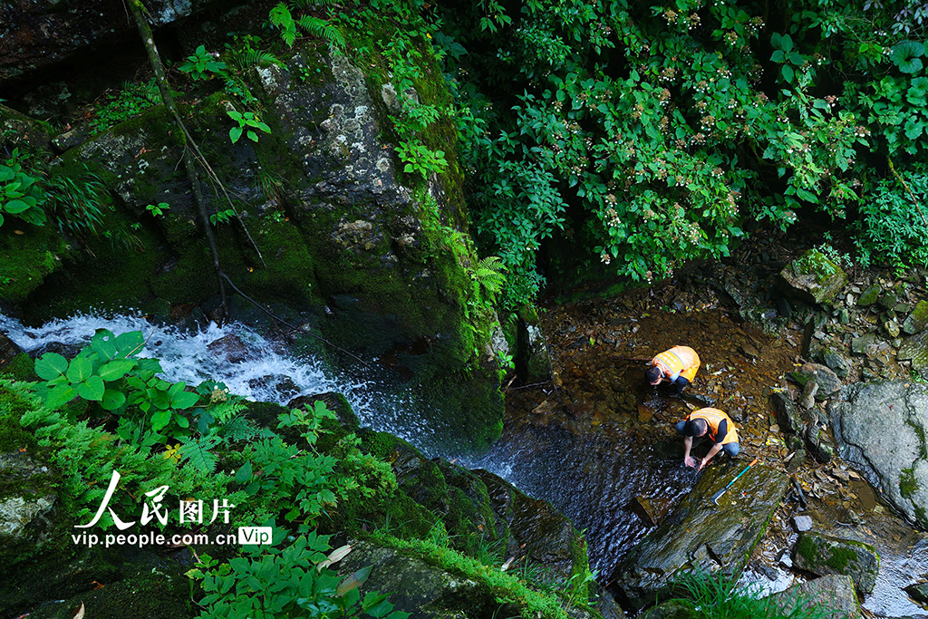 重庆：巡山护林严防火【5】