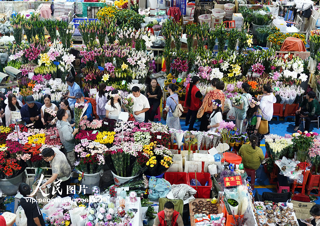 云南昆明：斗南花卉市场人气旺