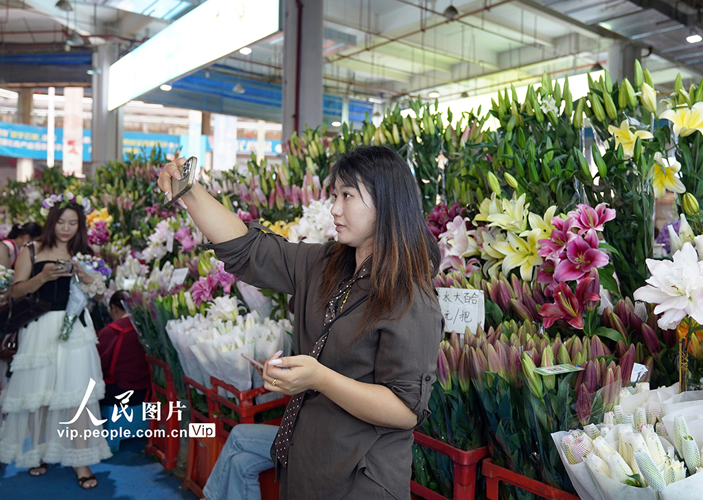 云南昆明：斗南花卉市场人气旺【6】