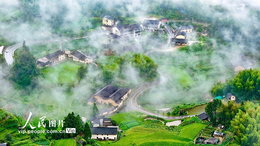 浙江云和：云雾绕梯田 山野入画来【2】