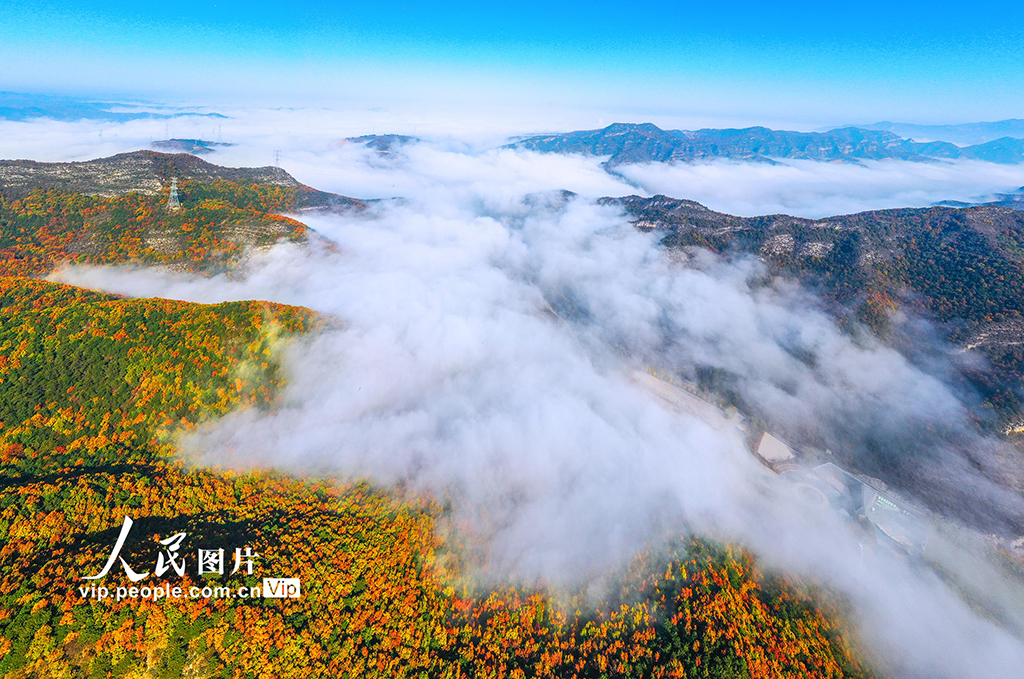 山西左权：云雾绕太行 秋景美如画