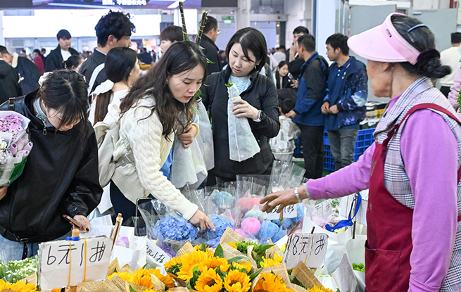云南昆明：斗南花市人气旺
