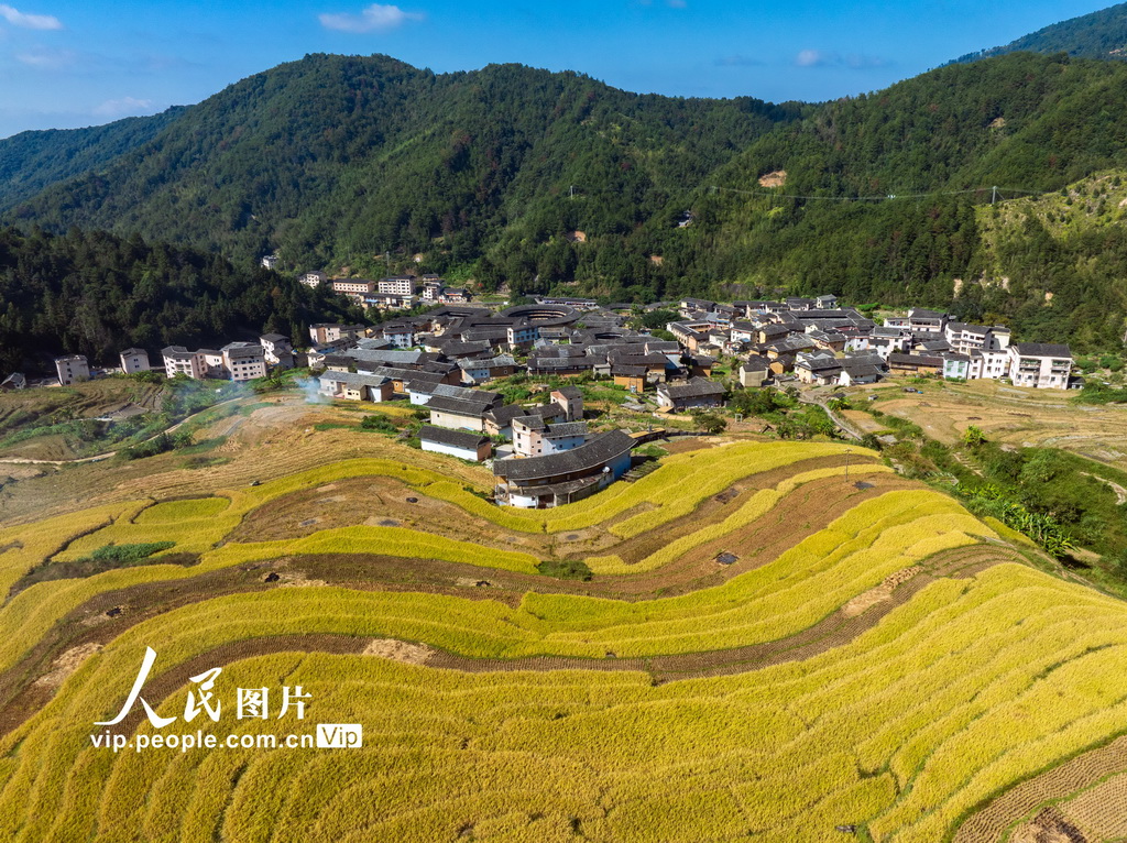福建龙岩：土楼秋日【6】