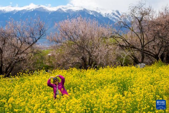 游客在林芝市巴宜区嘎拉村拍照留念（4月2日摄）。