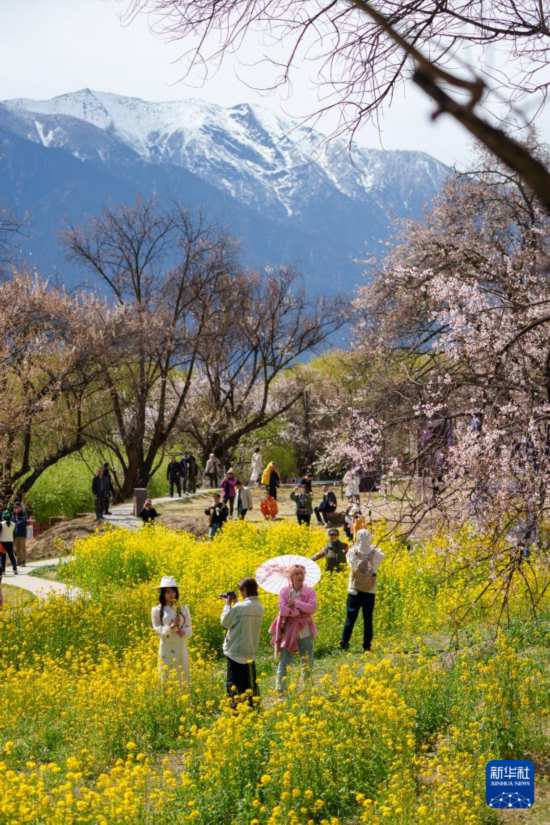 游客在林芝市巴宜区嘎拉村游玩（4月2日摄）。