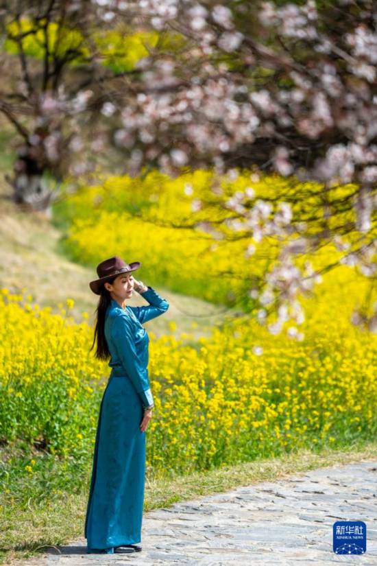 游客在林芝市巴宜区嘎拉村拍照留念（4月2日摄）。